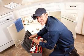 Professional Plumbing  in Elm City, NC